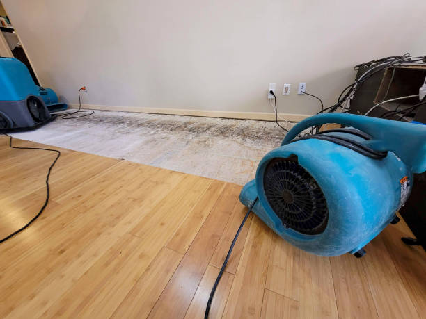 Professional Water Extraction technician working in Phillips, ME